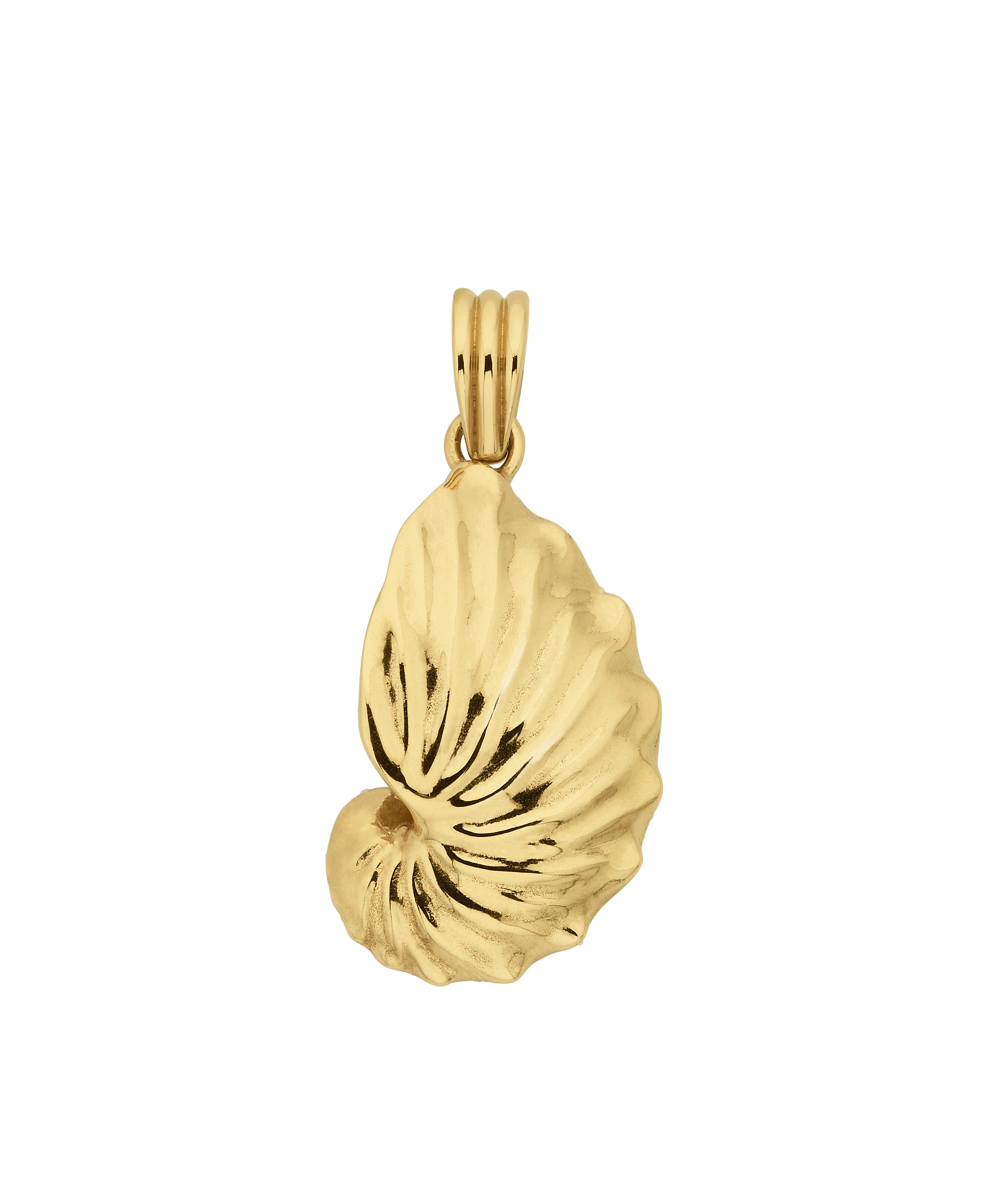 Paper Nautilus Charm - 22k Gold Vermeil