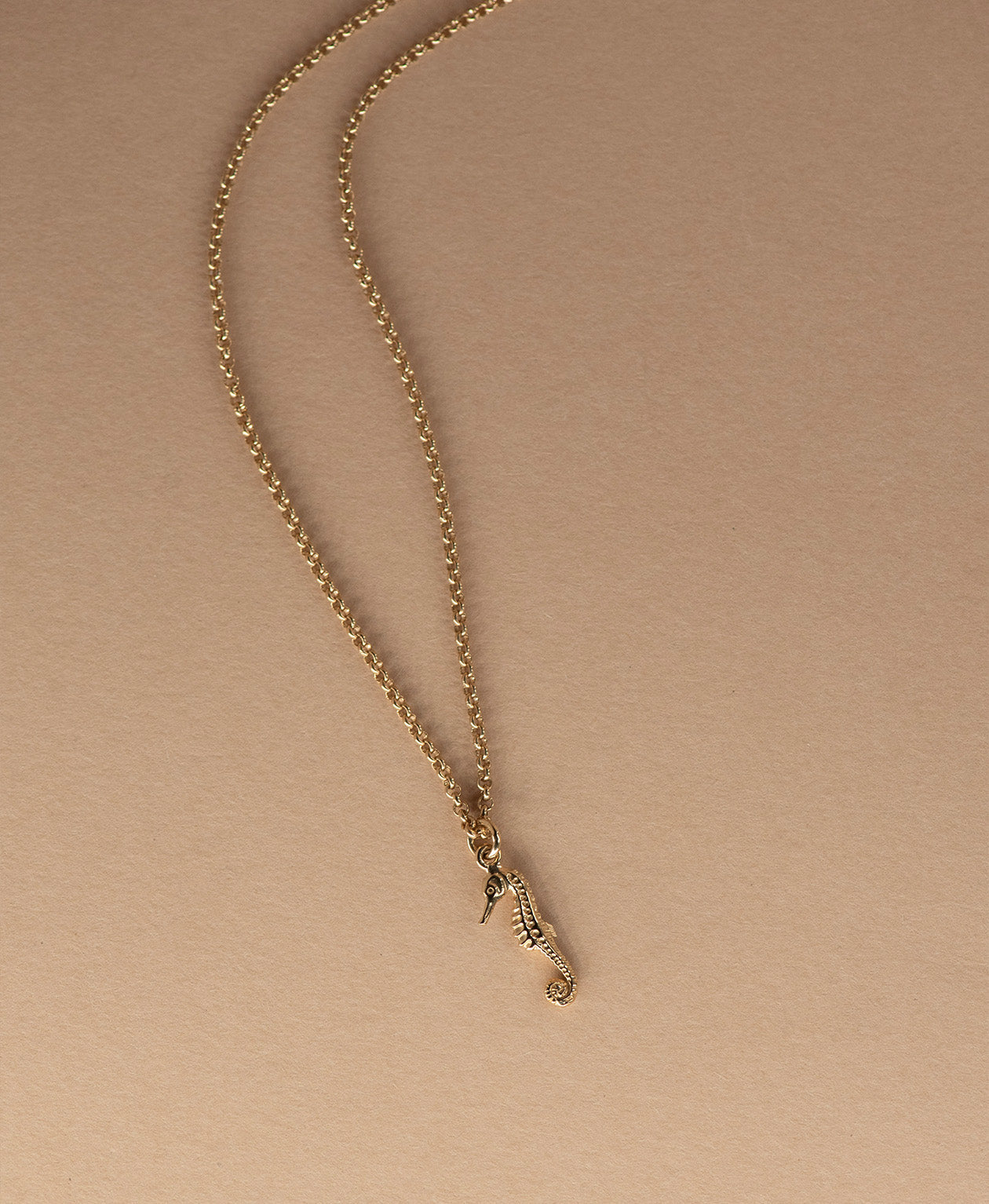 Seahorse Necklace - 22k Gold Vermeil