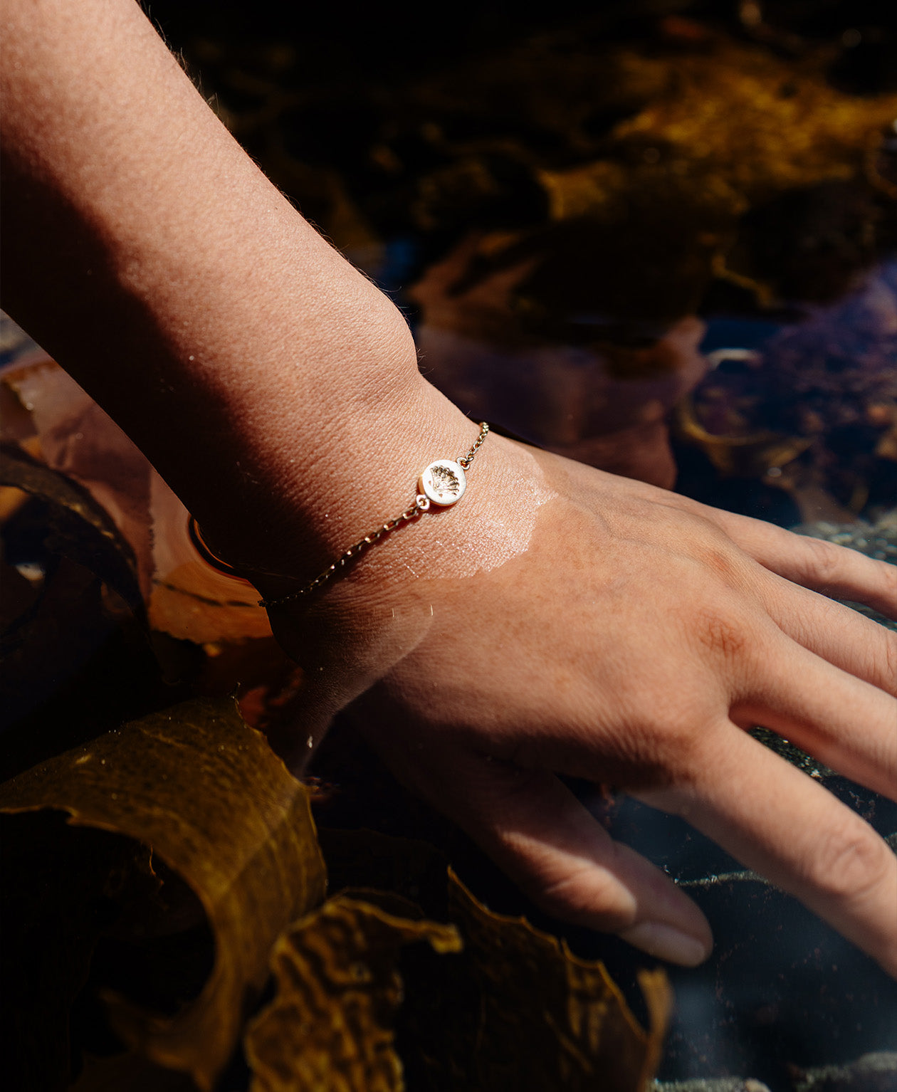 Secret Society of Shell Lovers Bracelet - 22k Gold Vermeil