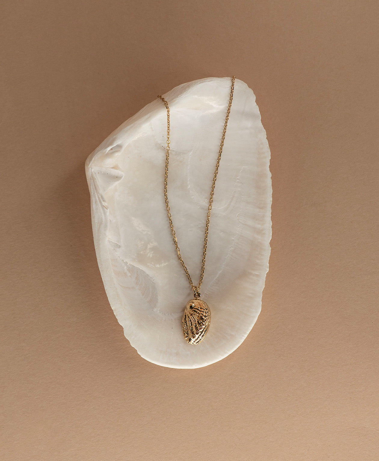 Soul Paua Necklace - 22k Gold Vermeil