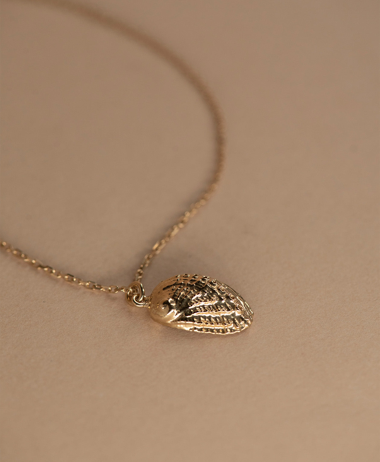 Soul Paua Necklace - 22k Gold Vermeil