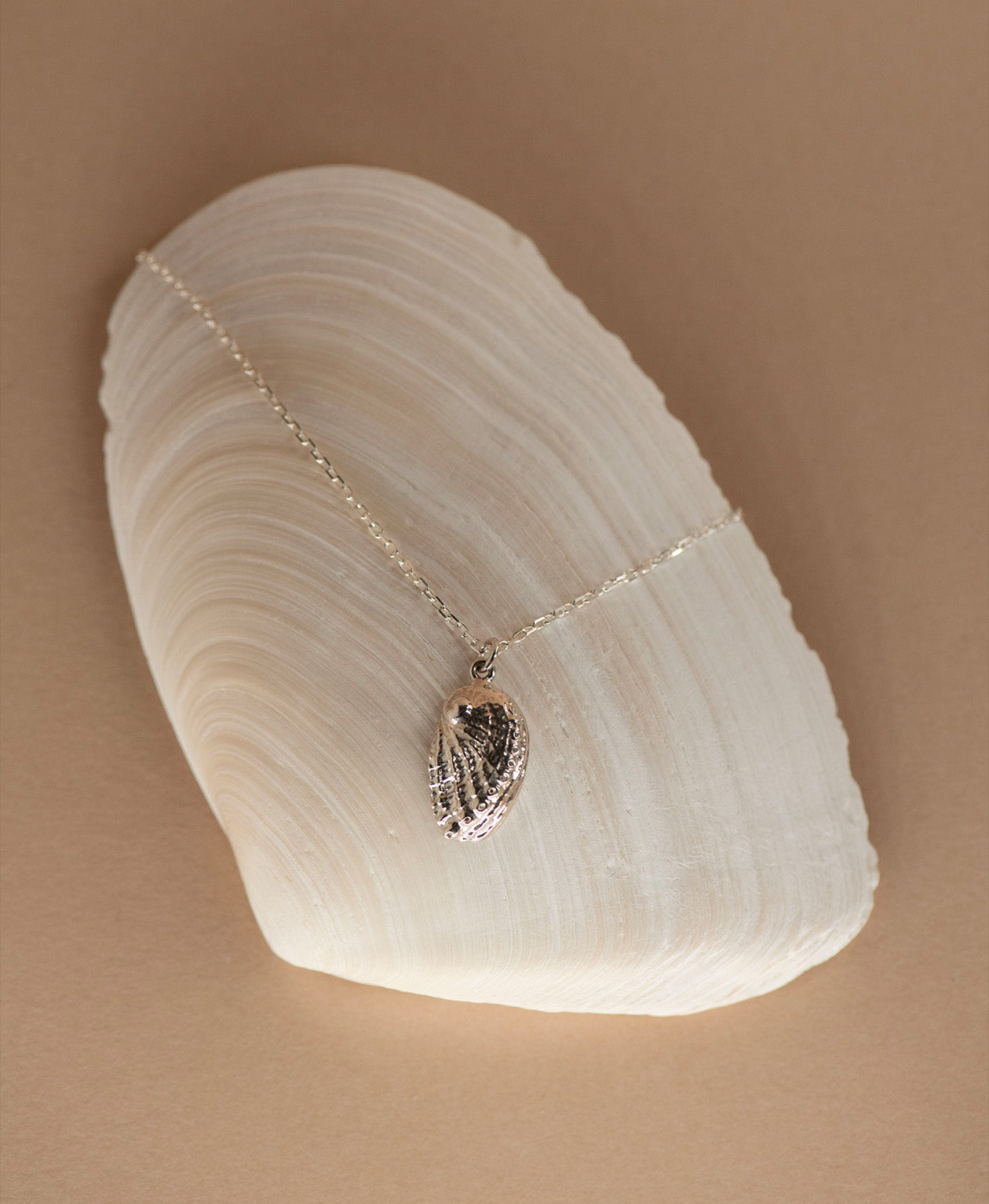 Soul Paua Necklace - 925 Sterling Silver