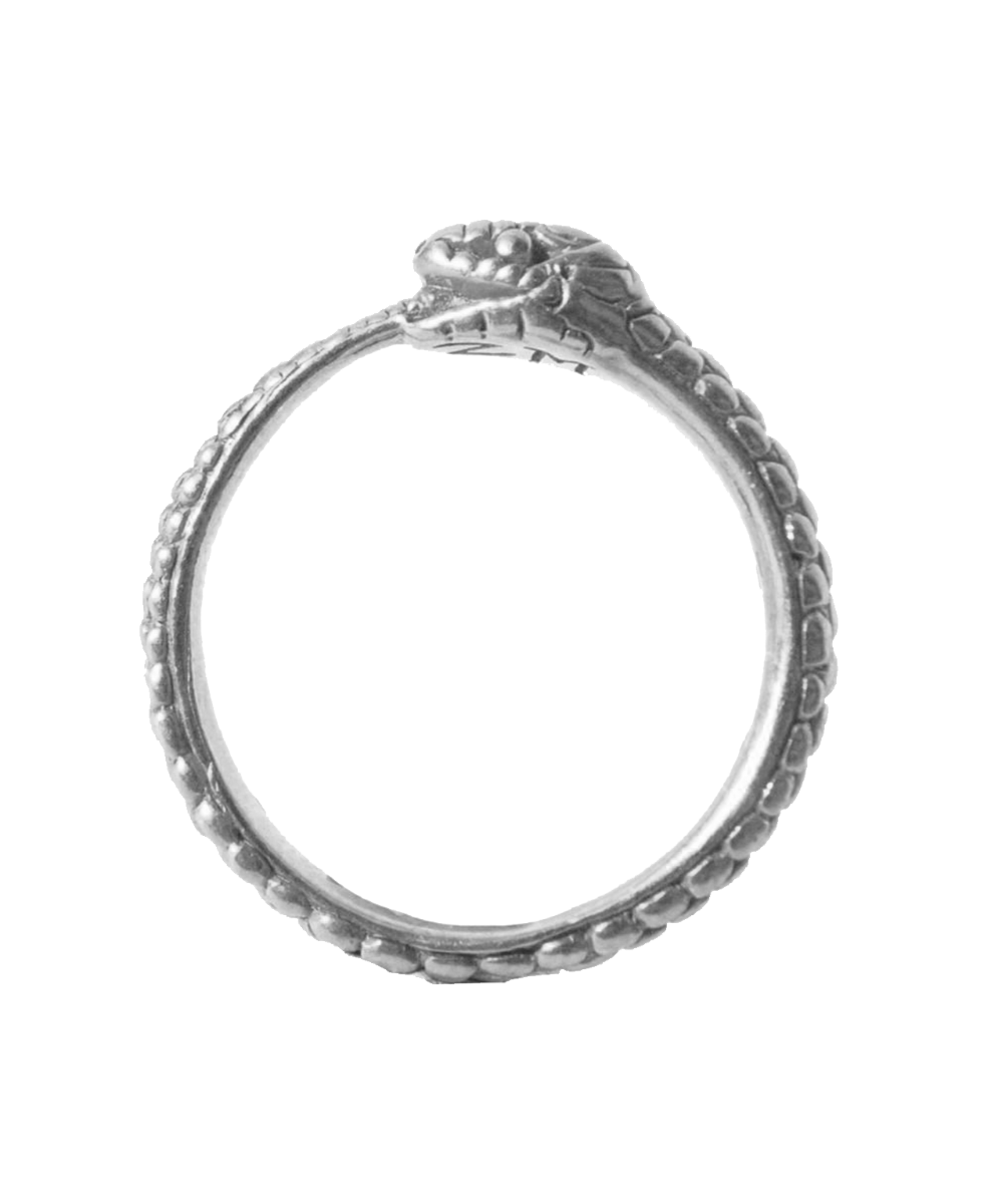 Eternity Snake Ring - 925 Sterling Silver