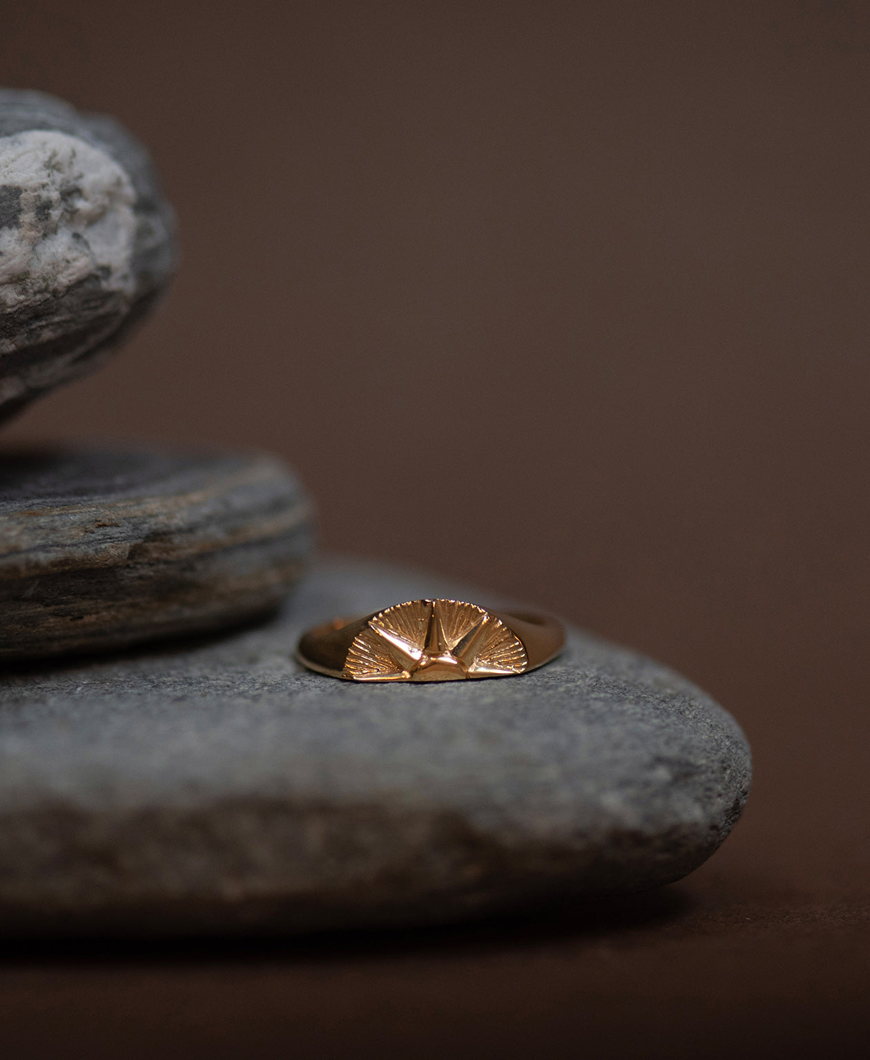 Let the Sun Shine In Ring  - 22k Gold Vermeil