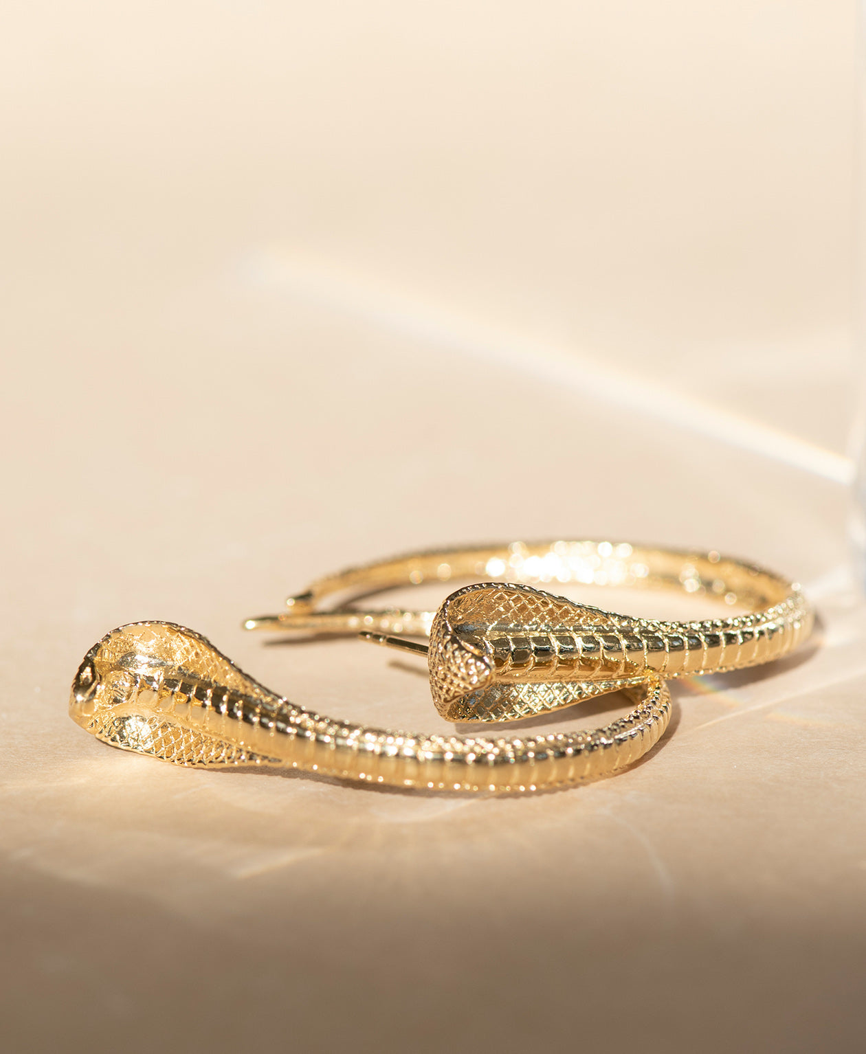 Protect Me Hoop Earrings - 22k Gold Vermeil