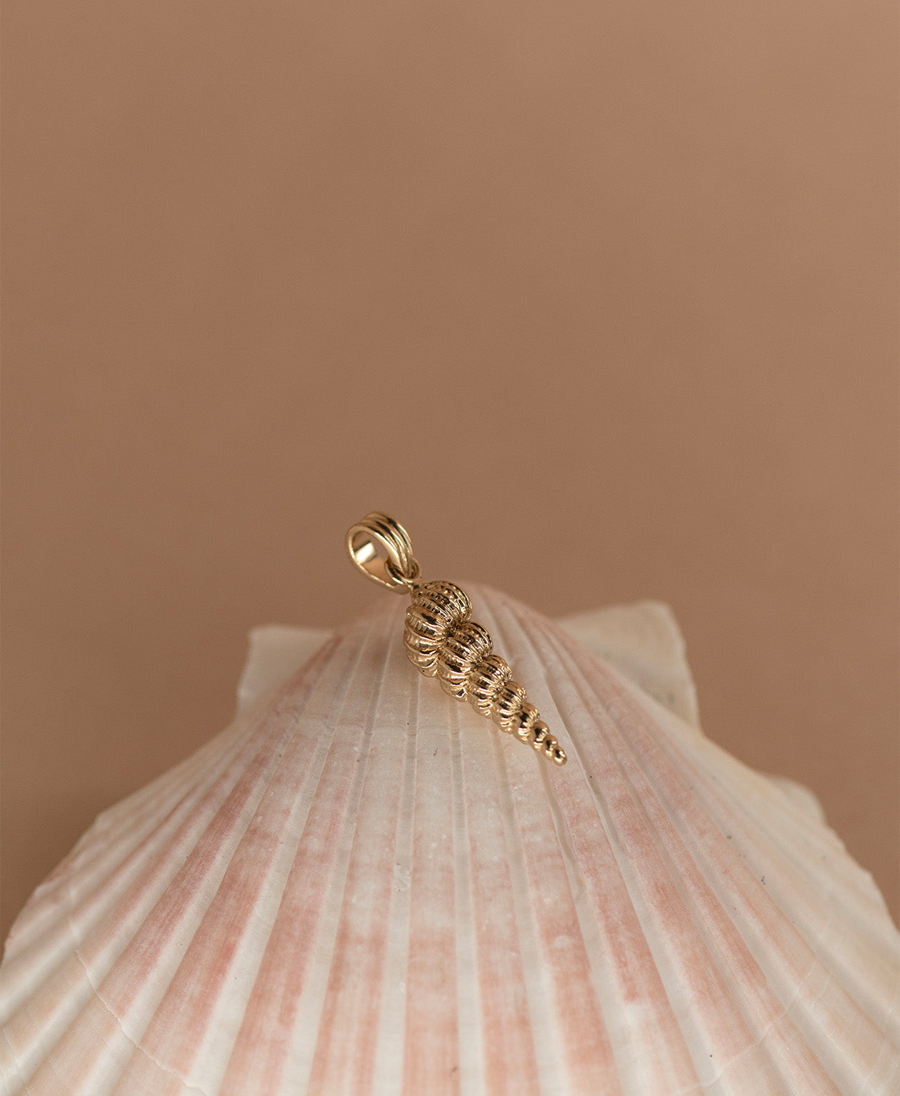 Shell Seeker Charm - 22k Gold Vermeil