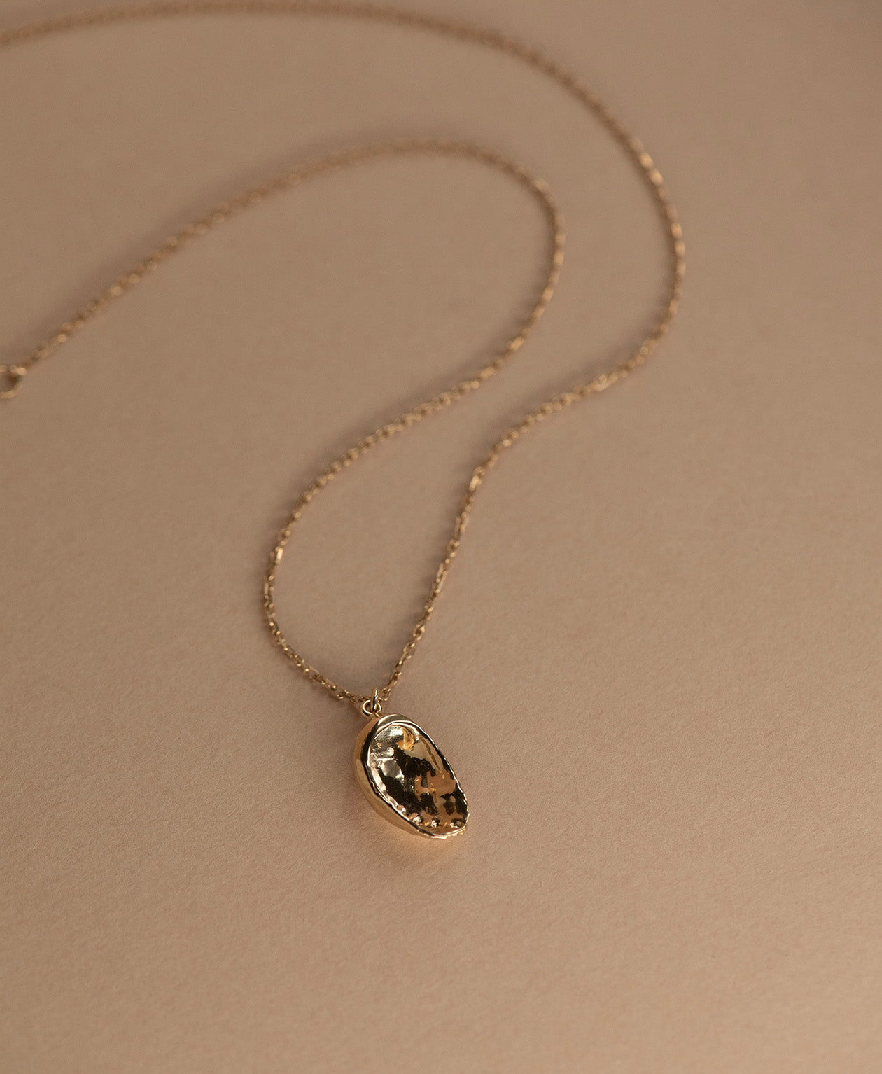Soul Paua Necklace - 22k Gold Vermeil