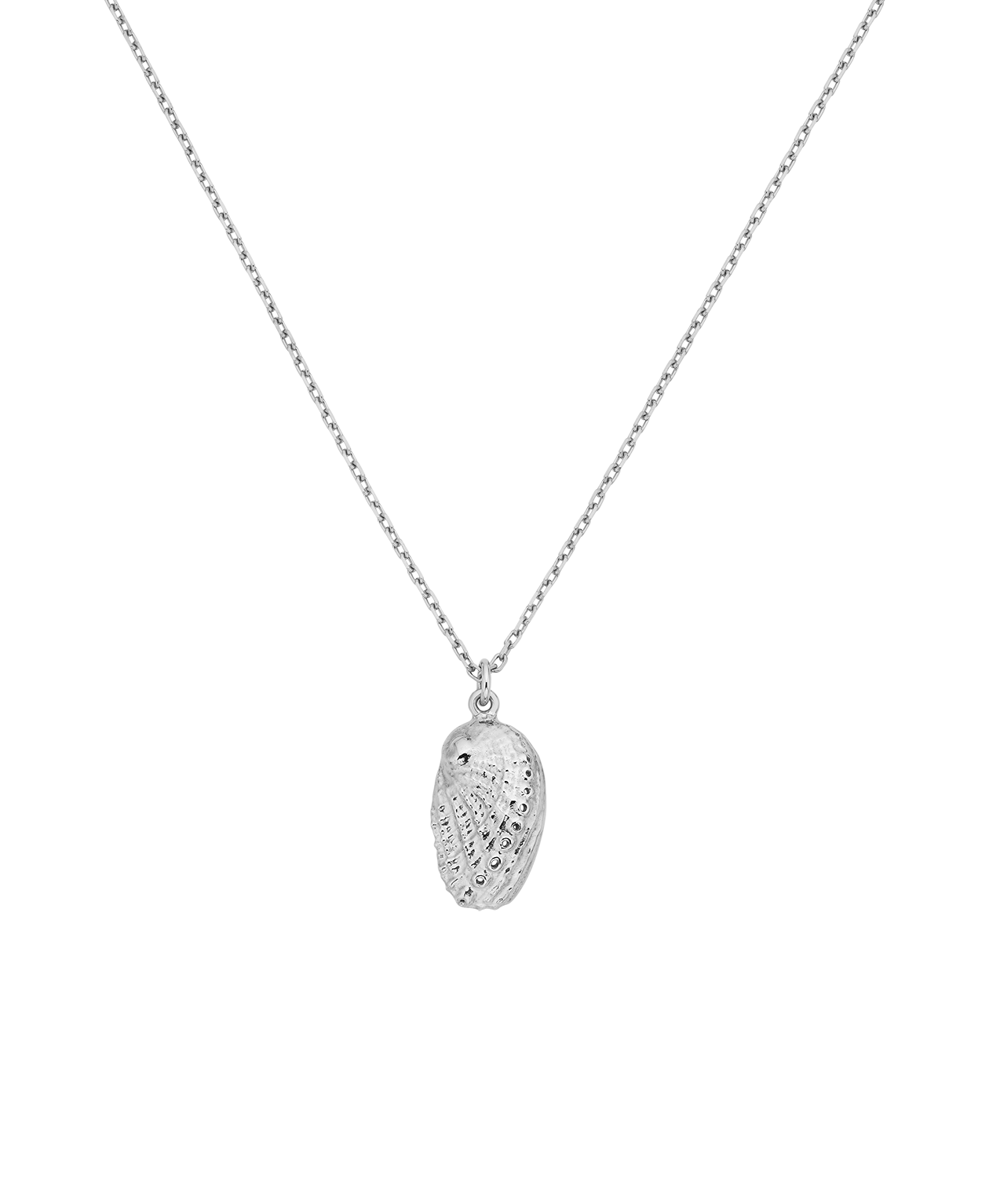 Soul Paua Necklace - 925 Sterling Silver